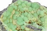Sparkly Botryoidal Green Wavellite Formation - Arkansas #280740-1